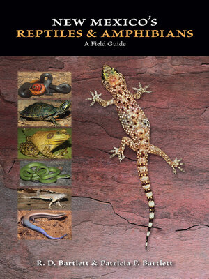 cover image of New Mexico's Reptiles and Amphibians